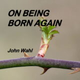 Studies on Being Born Again
