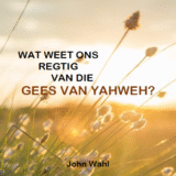Wat weet ons regtig van die Gees?