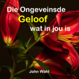 Die Ongeveinsde Geloof in jou