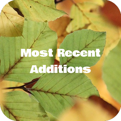 Most Recent Additions