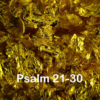 Psalm 21-30